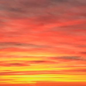 Meet your Posher, Madeline